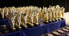 Il 17 e 18 febbraio a Roma la consegna di Trofei e Coppe ACI Sport 2017 Il 17 e 18 febbraio a Roma la consegna di Trofei e Coppe ACI Sport 2017