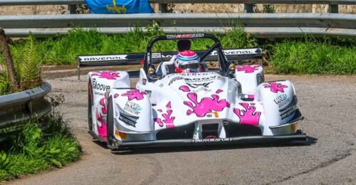 Merli d'argento in Spagna