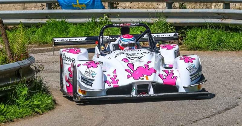 Merli d'argento in Spagna